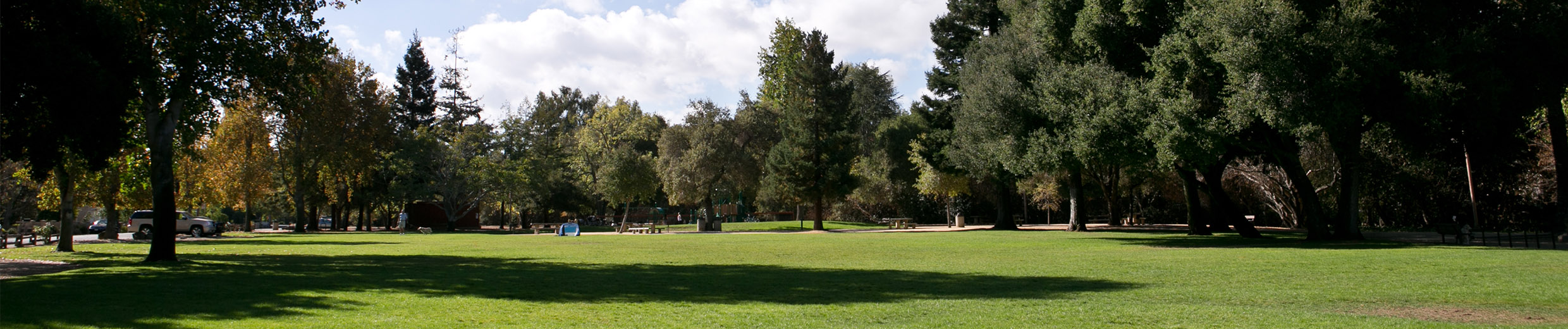 image of grassy lawn with trees