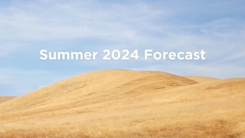 2024年夏季预测
