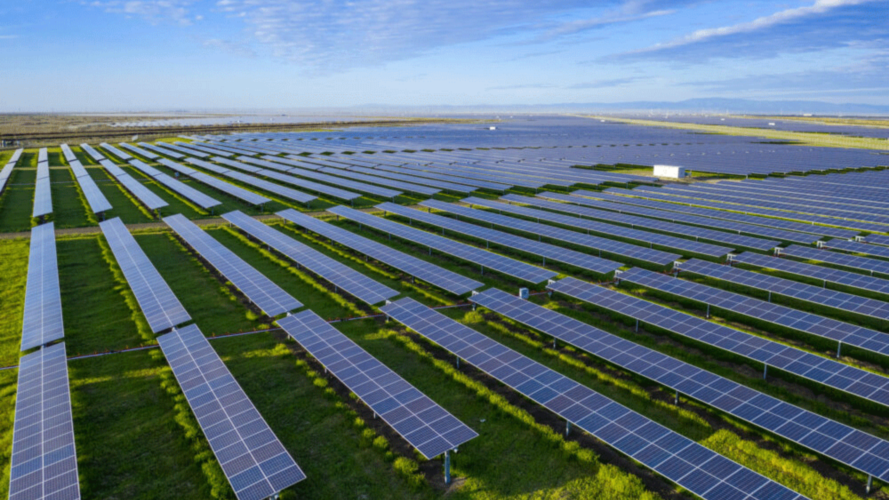 Solar Panel in Field Blog