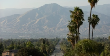 hills hills