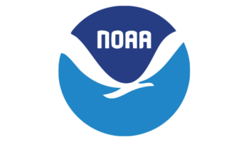 noa noa
